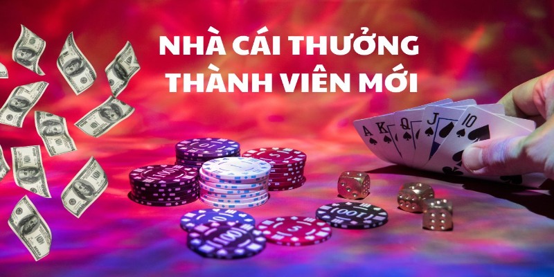 Hỗ trợ giải đáp thắc mắc về ưu đãi tại cổng game 24/7